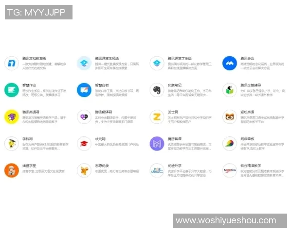 西安飞盘队个人能力分析与团队协作的深度探讨